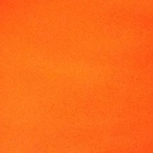 Meet your Posher, Jade